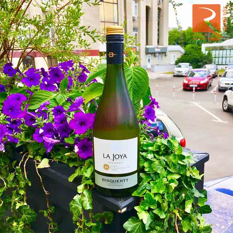 Rượu Vang La Joya Gran Reserva Viognier Bisquertt