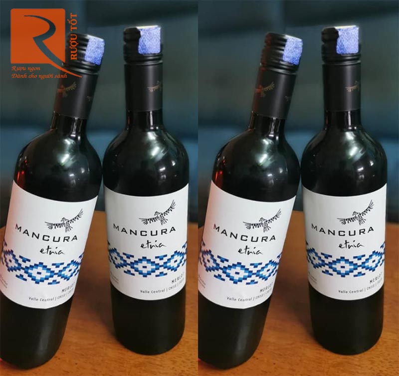 Rượu Vang Mancura Etnia Merlot