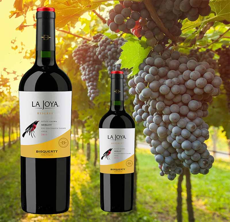 Rượu Vang La Joya Reserva Merlot Bisquertt