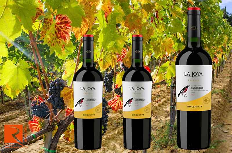 Rượu Vang La Joya Reserva Carmenere