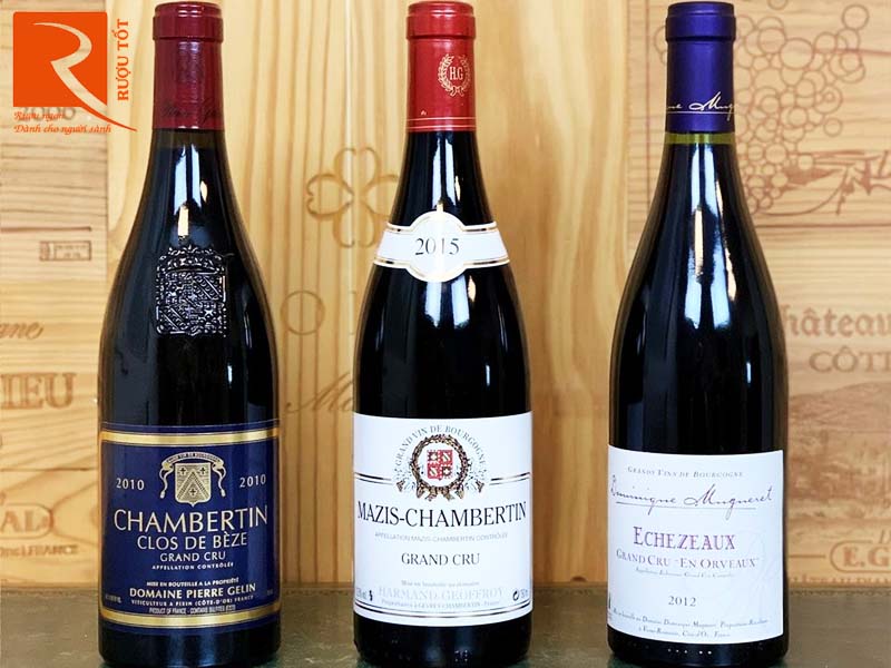 Rượu vang Mazis Chambertin Albert Bichot Grand Cru