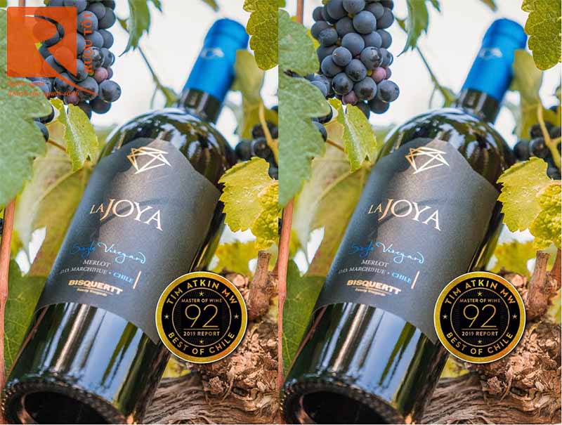 Rượu Vang La Joya Single Vineyard Merlot Bisquertt