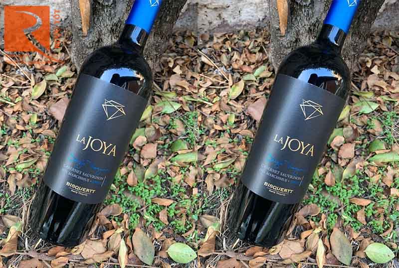 Rượu Vang La Joya Single Vineyard Merlot Bisquertt