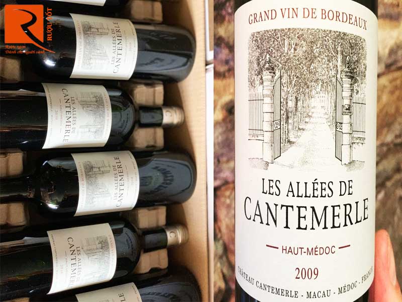 Rượu vang Les Allees de Cantemerle Haut Medoc