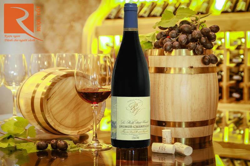 Rượu Vang Saumur Champigny La Roche Saint Vincent