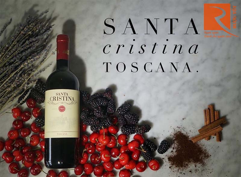 Rượu Vang Santa Cristina Toscana