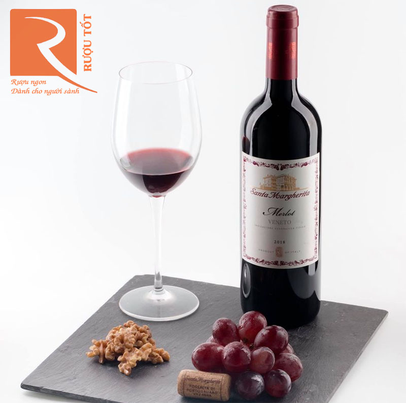 Rượu Vang Santa Margherita Merlot Veneto IGT