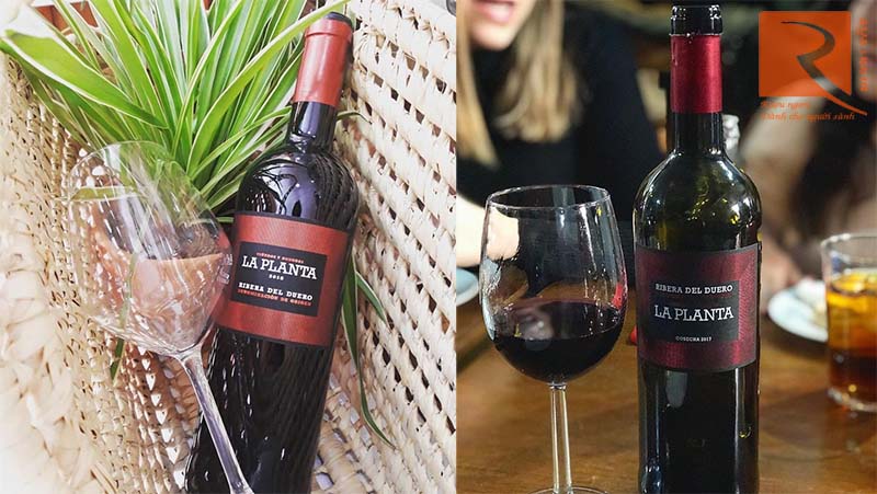 Vang Tây Ban Nha La Planta Ribera del Duero Arzuaga