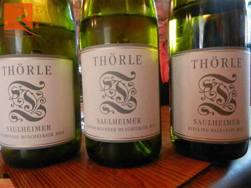 Vang Đức Thörle Saulheim Spätburgunder Kalkstein Rheinessen Weingut