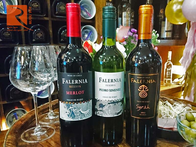 Rượu vang Falernia Merlot Reserva