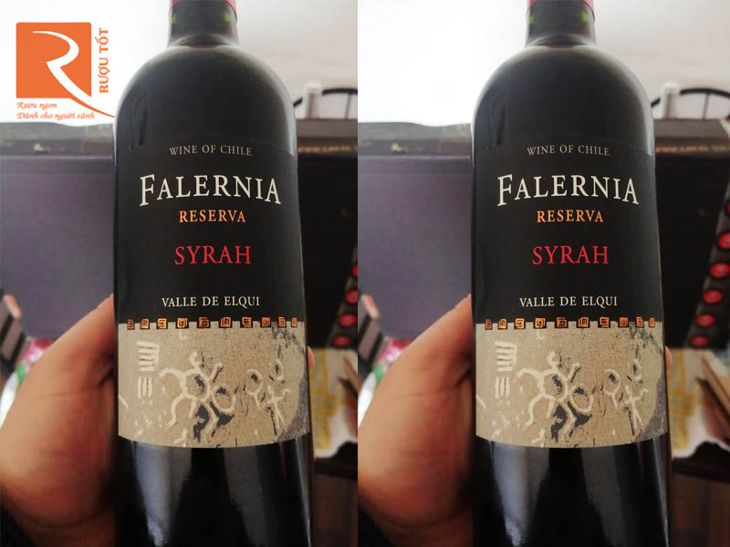  Rượu vang Chile Falernia Syrah Reserva