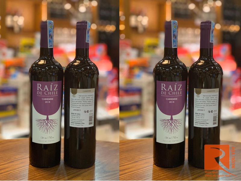 Rượu vang Chile Raíz De Chile Carmenère