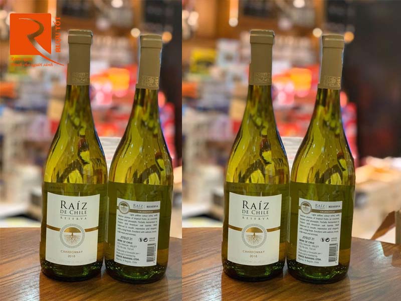 Rượu vang Raíz De Chile Chardonnay Reserva