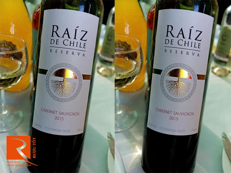 Rượu vang Raíz De Chile Cabernet Sauvignon Reserva