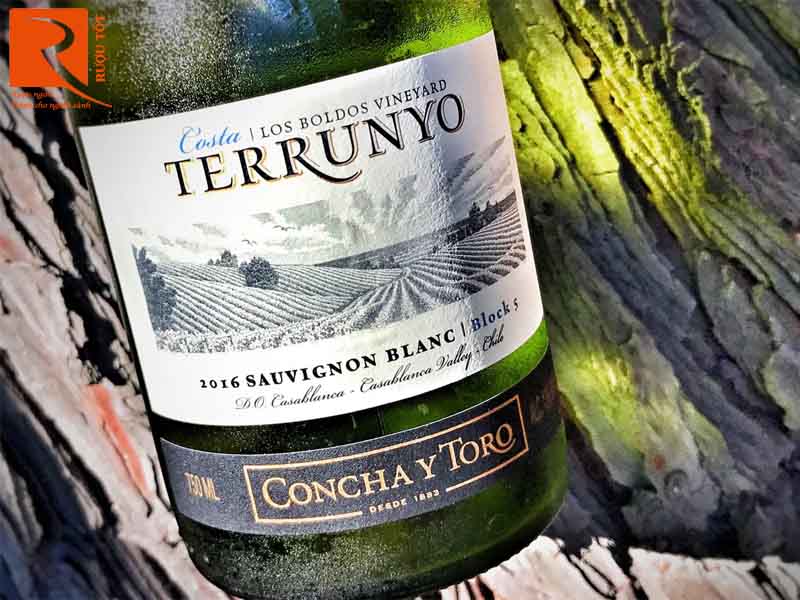 Rượu vang Chile Terrunyo Sauvignon Blanc Block 5 Concha Y Toro