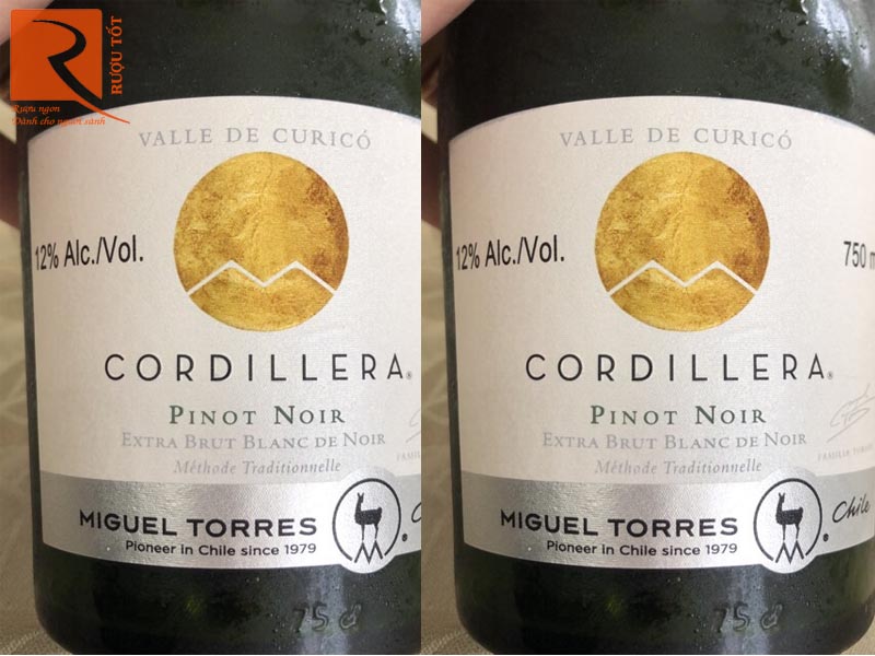 Miguel Torres Cordillera Pinot Noir Brut