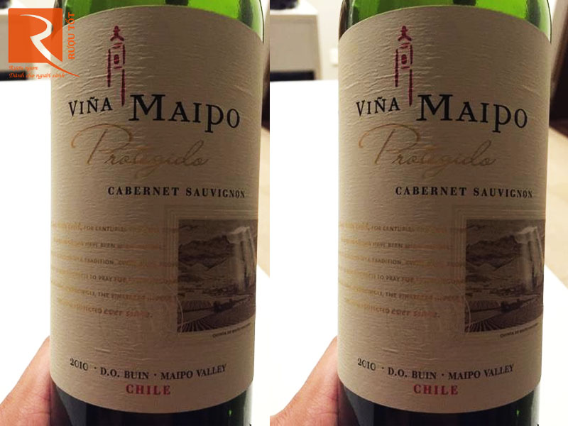 Vina Maipo Protegido Cabernet Sauvignon