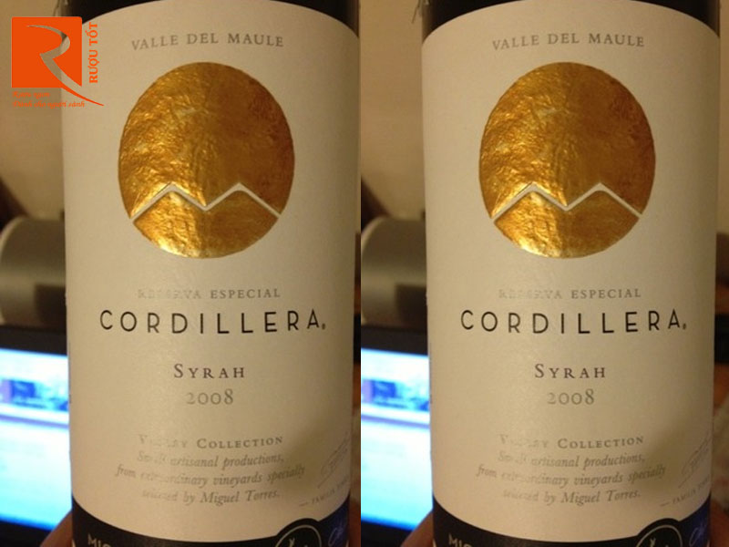 Cordillera Miguel Torres Shiraz Reserva Especial