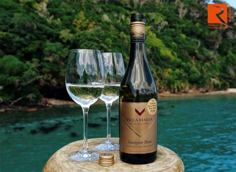 Vang New Zealand Villa Maria Sauvignon Blanc Cellar Selection