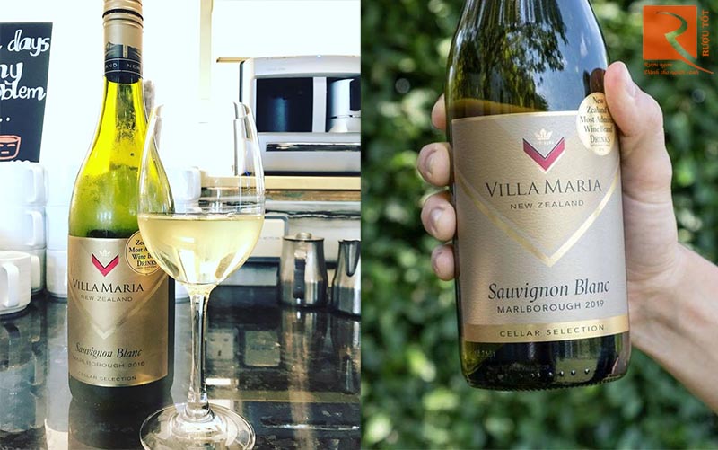 Vang New Zealand Villa Maria Sauvignon Blanc Cellar Selection