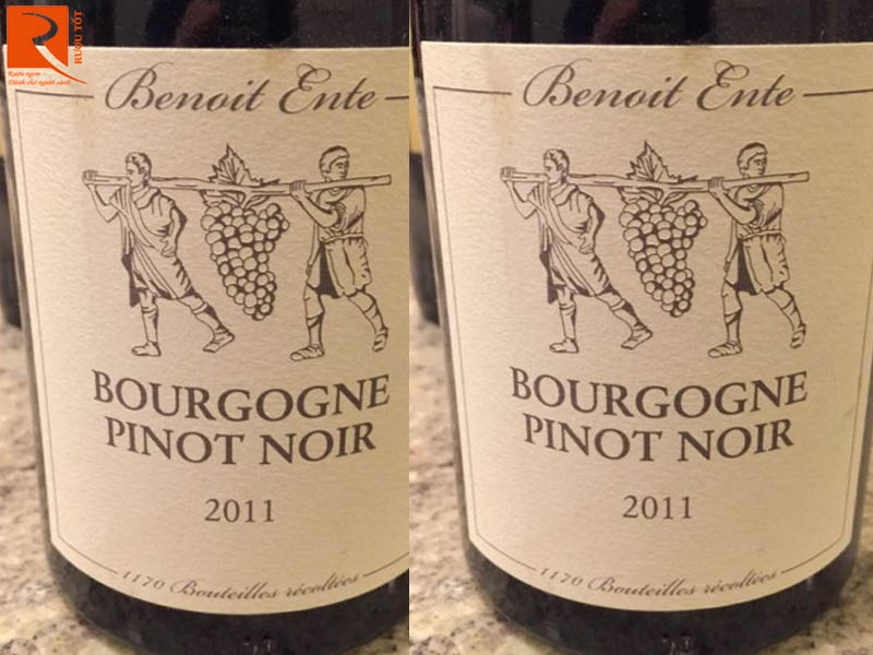 Rượu vang Pháp Bourgogne Pinot Noir  Benoit Ente