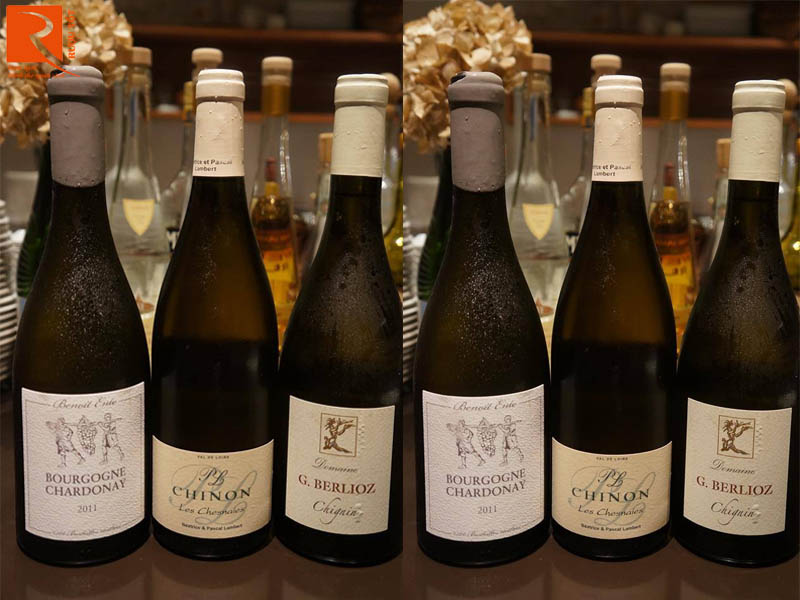 Rượu vang Pháp Bourgogne Chardonnay Benoit Ente