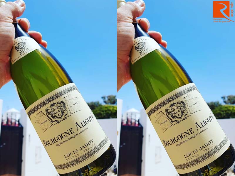 Rượu vang Pháp Louis Jadot Bourgogne Aligote