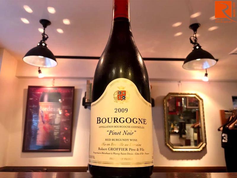 Rượu vang Pháp Pinot Noir Bourgogne Robert Groffier Pere Fils