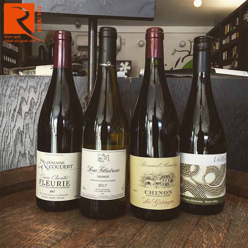 Rượu Vang Lena Filliatreau Saumur Domaine Filliatreau