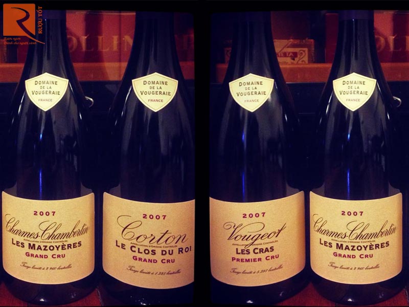 Rượu vang Pháp Charmes Chambertin Les Mazoyeres Grand Cru