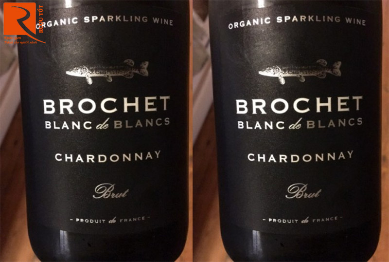 Rượu Vang Brochet Blanc de Blancs Chardonnay Brut