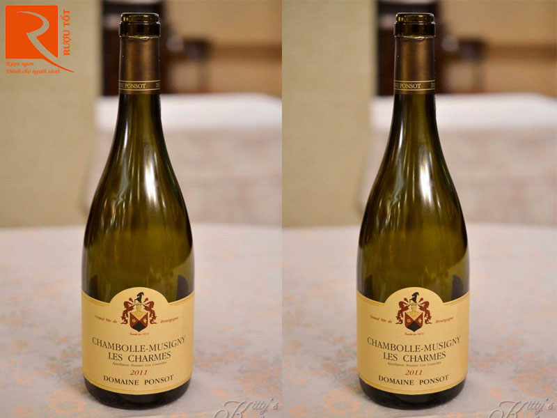 Rượu vang Pháp Chambolle Musigny Les Charmes Domaine Ponsot