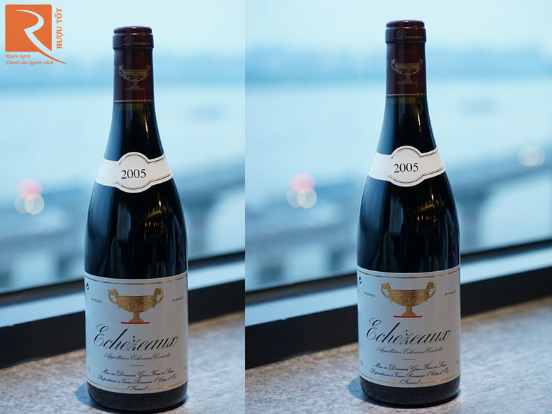 Rượu vang Pháp Echezeaux Grand Cru Domaine Gros Frere et Sœur