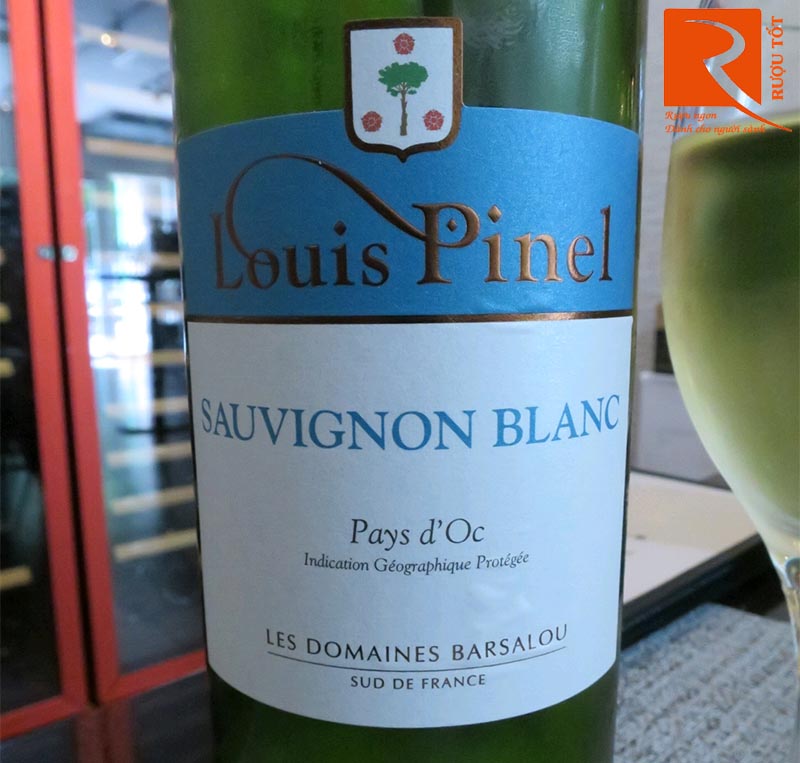 Rượu Vang Louis Pinel Sauvignon Blanc