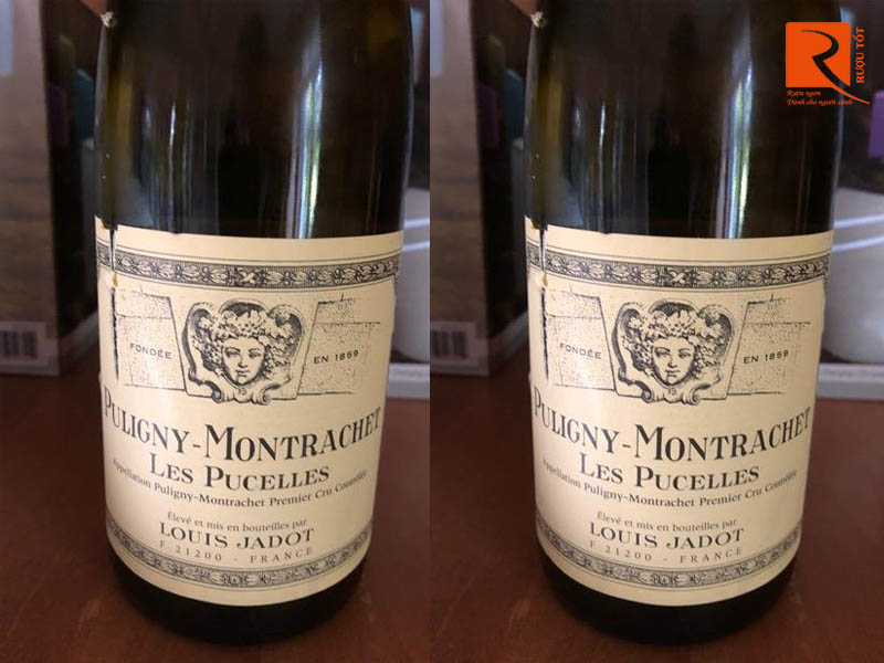 Puligny Montrachet Les Pucelles Louis Jadot