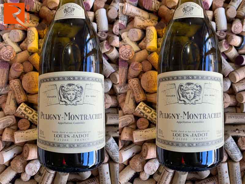 Puligny Montrachet Louis Jadot