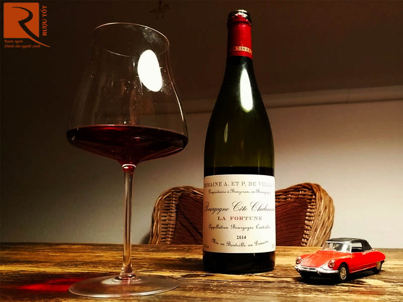 Domaine A Et P de Villaine La Fortune Bourgogne