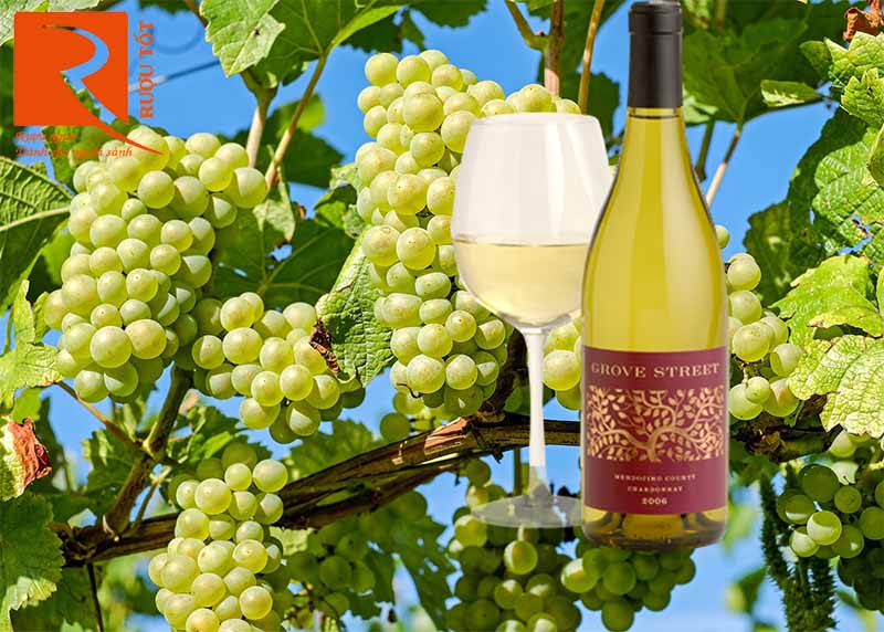 Rượu Vang Grove Street Sauvignon Blanc