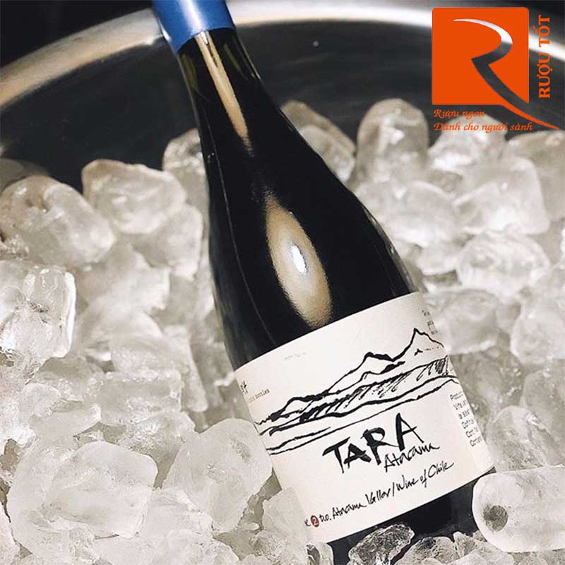 Rượu Vang Tara Atacama Syrah