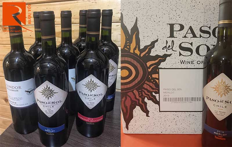 Rượu Vang Paso Del Sol Terramater Merlot