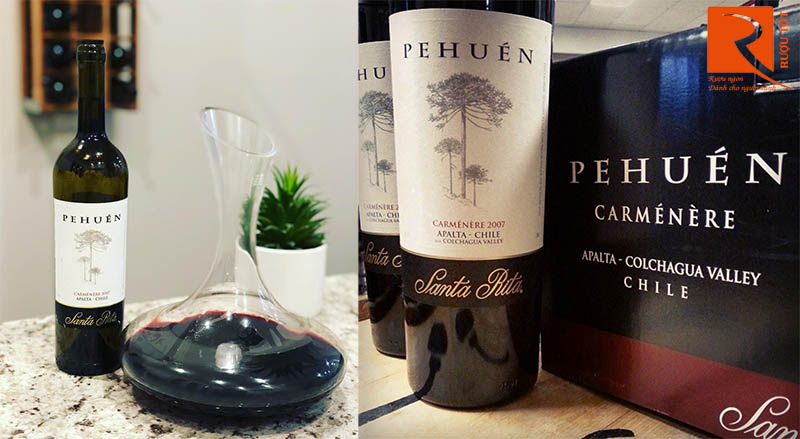 Rượu Vang Pehuen Santa Rita Carmenere