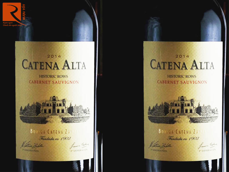 Catena Alta Cabernet Sauvignon Malbec