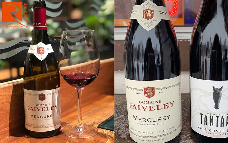 Vang Pháp Domaine Faiveley Mercurey