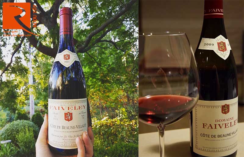 Rượu Vang Domaine Faiveley Cote de Beaune Villages