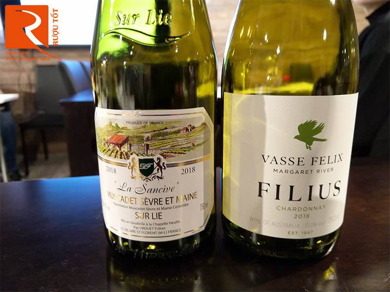 Rượu Vang Muscadet Sevre et Maine Sur Lie La Sancive