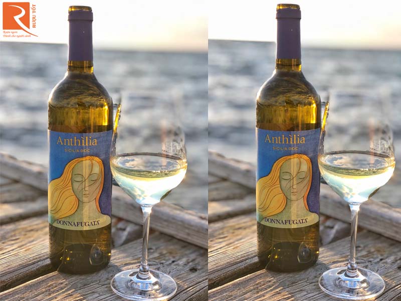 Donnafugata Anthilia Sicilia Doc Bianco