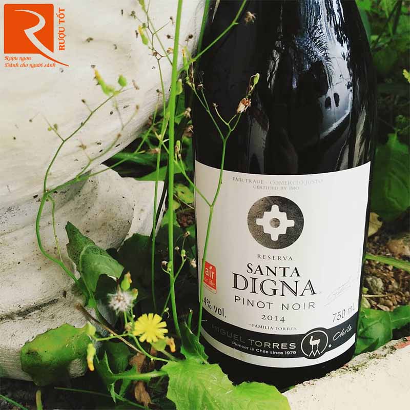 Rượu Vang Santa Digna Pinot Noir