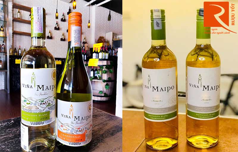 Rượu Vang Vina Maipo Chardonnay Sauvignon