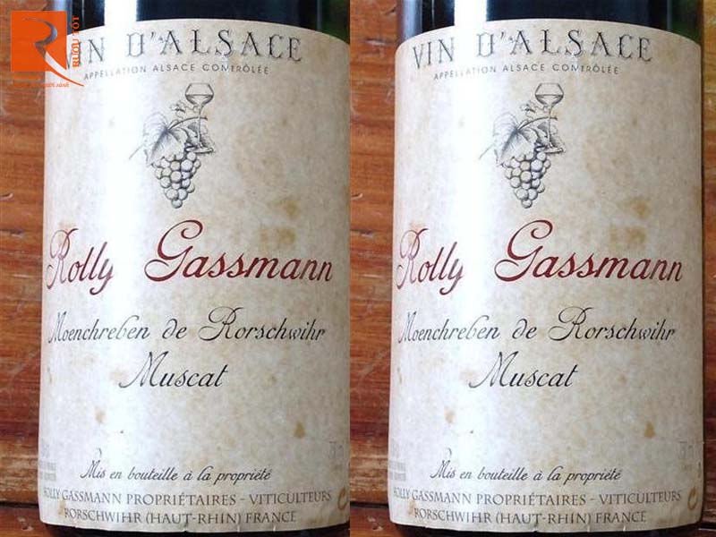 Rolly Gassmann Vin Dalsace Muscat