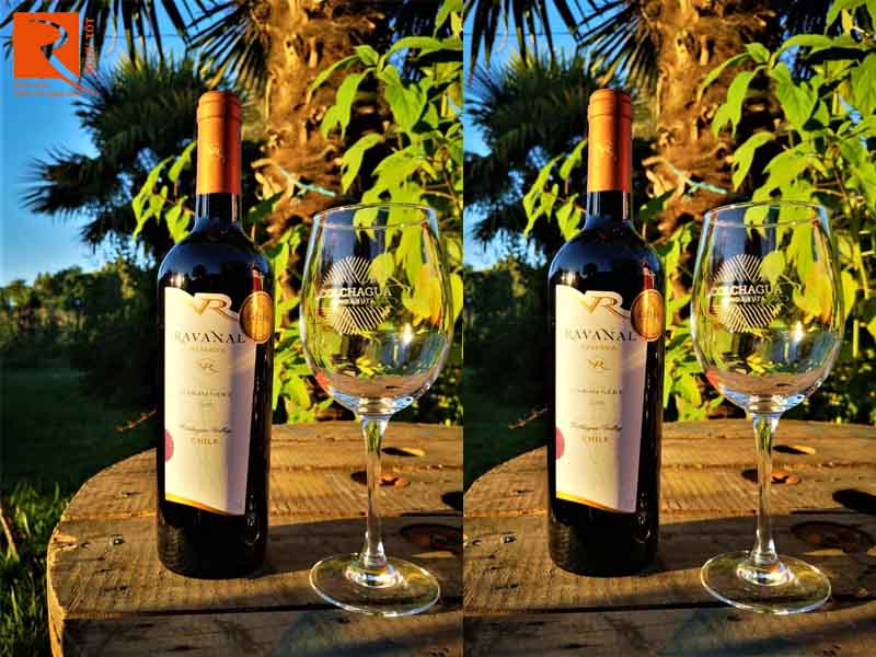 Ravanal Reserva Carmenere